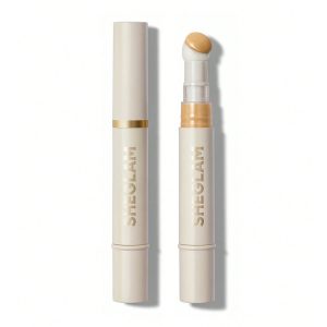 نمای اصلی کانسیلر شیگلم