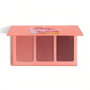 پالت رژگونه شیگلم